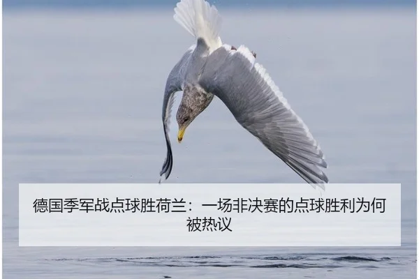 德国季军战点球胜荷兰：一场非决赛的点球胜利为何被热议